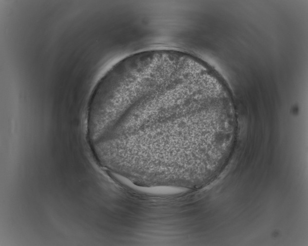 X0000094231415200711241734