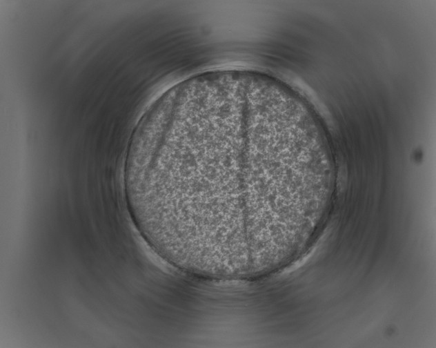 X0000094231417200711241734