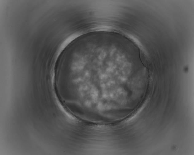 X0000094231418200711241734