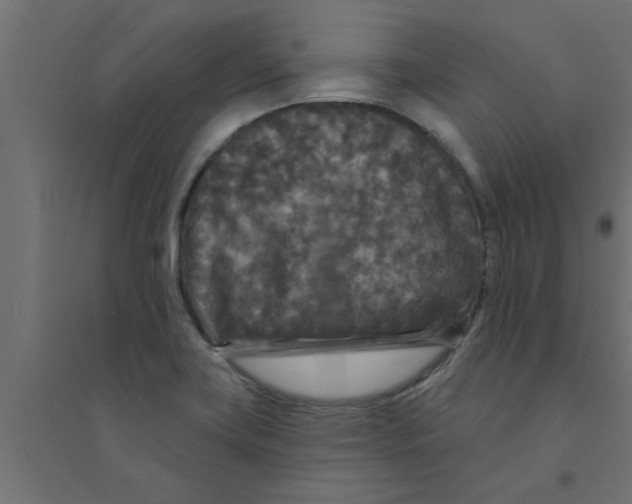 X0000094231419200711241734