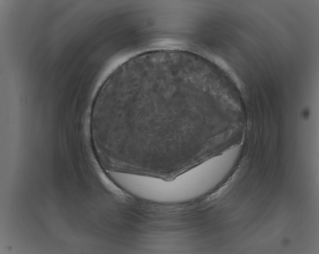 X0000094231421200711241734