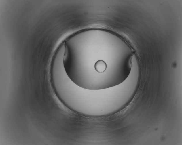 X0000094231422200711241734
