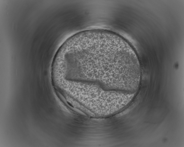 X0000094231423200711241734