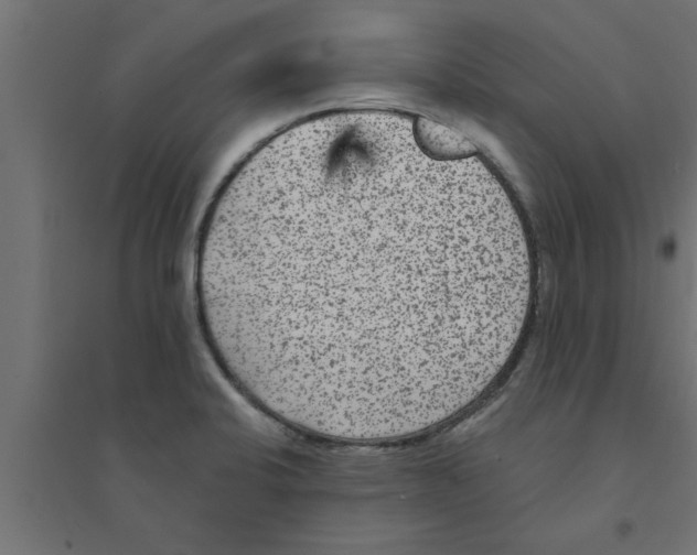 X0000094231424200711241734