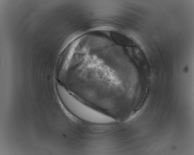 X0000094231425200711241735