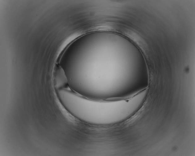 X0000094231426200711241735