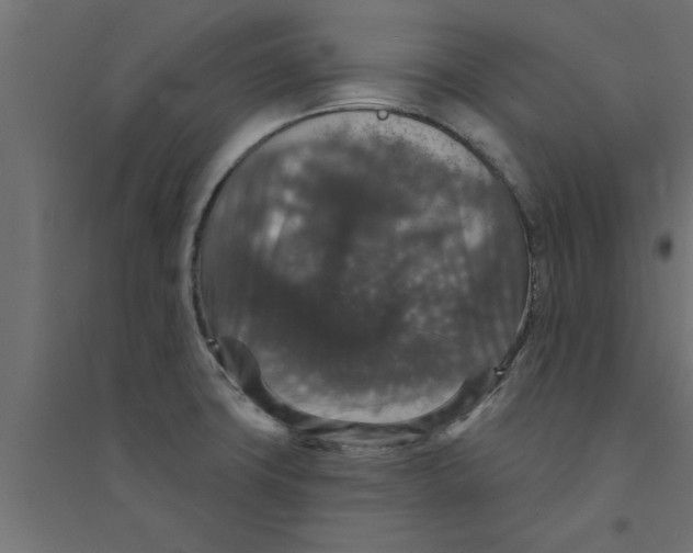 X0000094231427200711241735