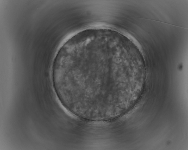 X0000094231429200711241735