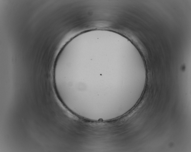 X0000094231432200711241735