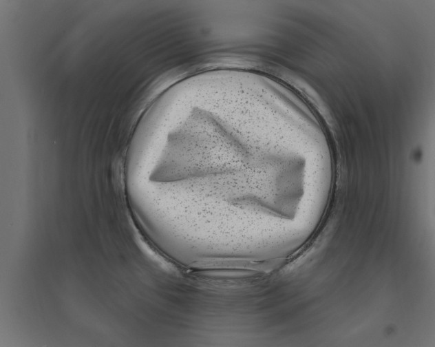 X0000094231433200711241735