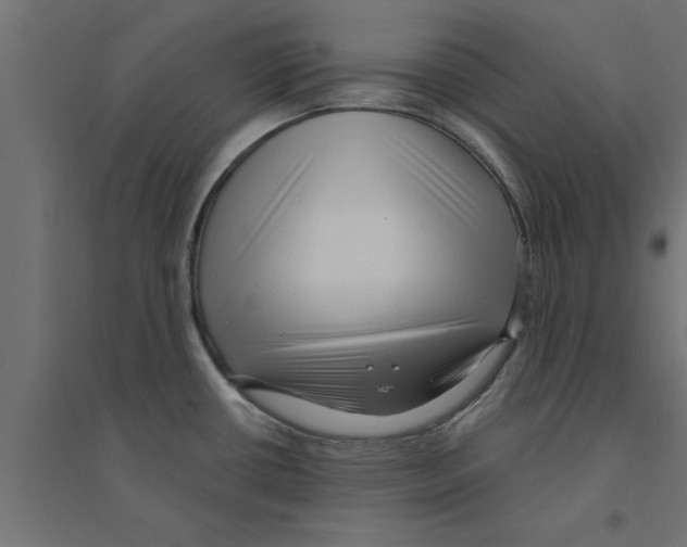 X0000094231434200711241735