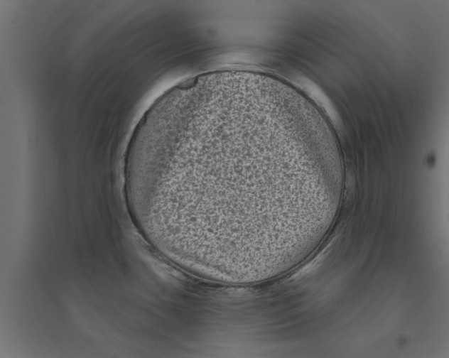 X0000094231435200711241735