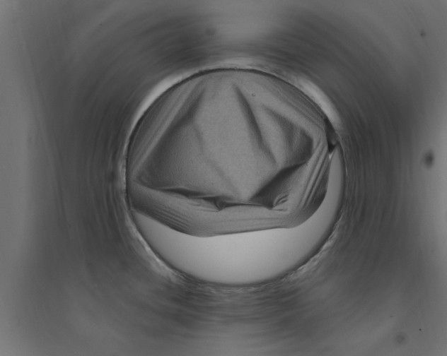 X0000094231436200711241735