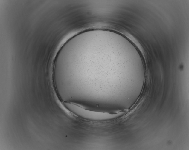 X0000094231437200711241735
