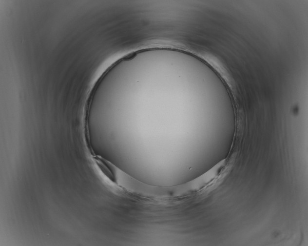 X0000094231438200711241735