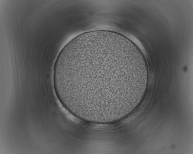 X0000094231439200711241735