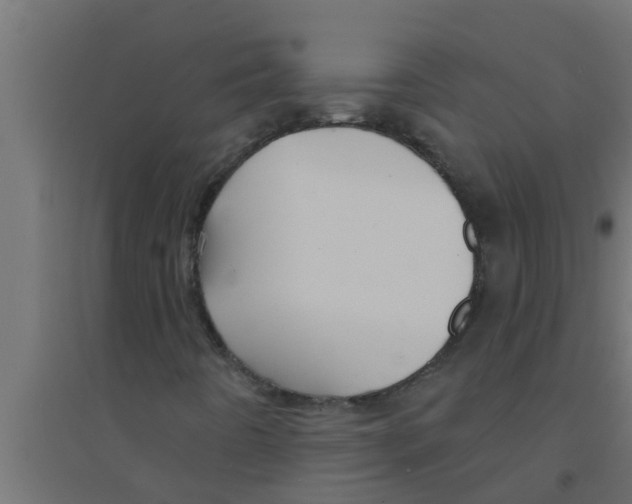 X0000094231442200711241734