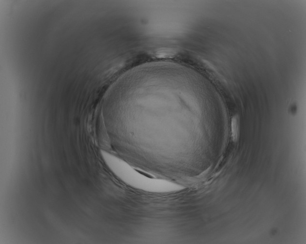 X0000094231443200711241734