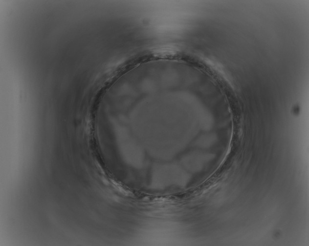 X0000094231445200711241734