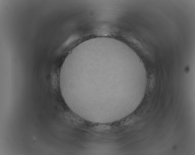 X0000094231446200711241734