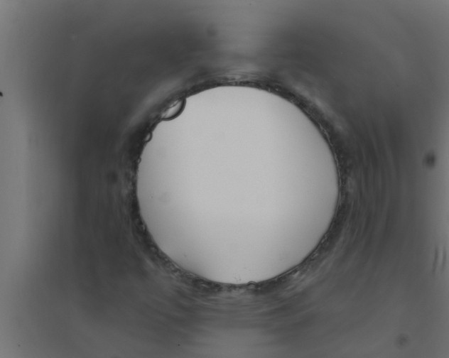 X0000094231447200711241734