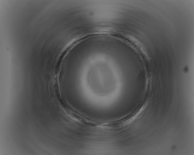 X0000094231449200711241734