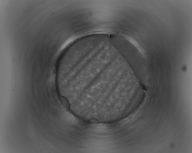 X0000094231450200711241734