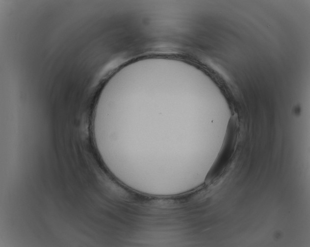X0000094231451200711241734