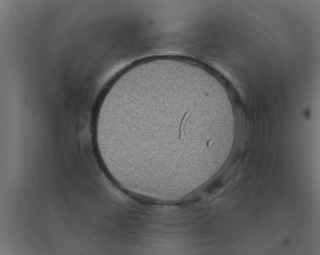 X0000094231452200711241734