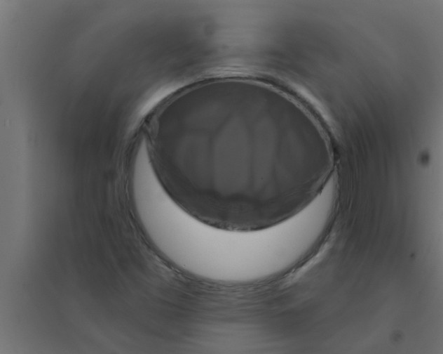 X0000094231453200711241734