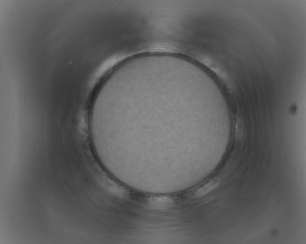 X0000094231454200711241734