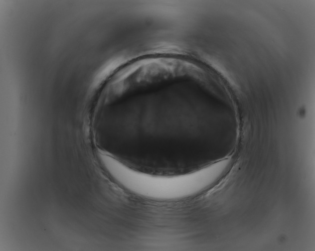 X0000094231455200711241734
