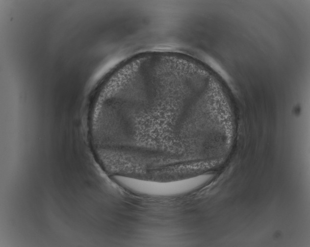 X0000094231456200711241734