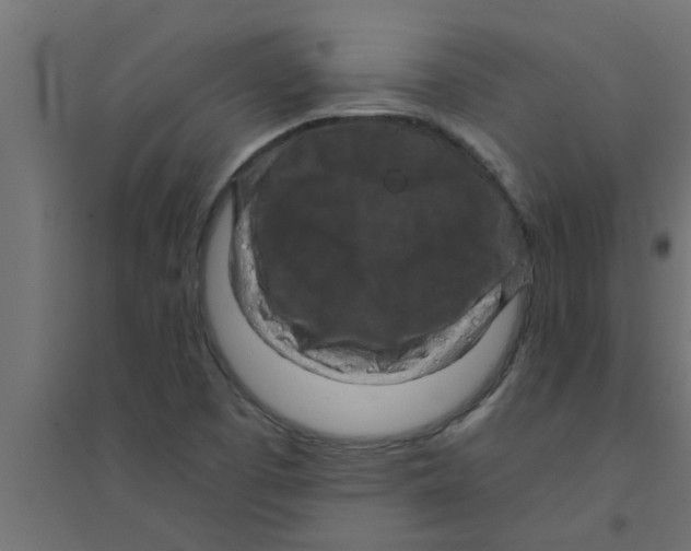 X0000094231457200711241734