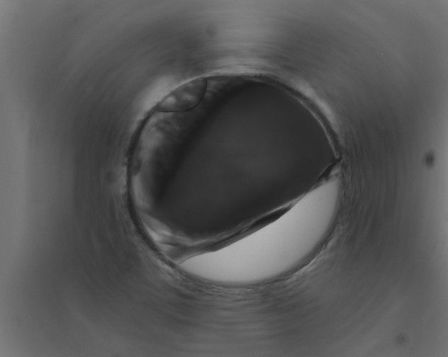 X0000094231459200711241734