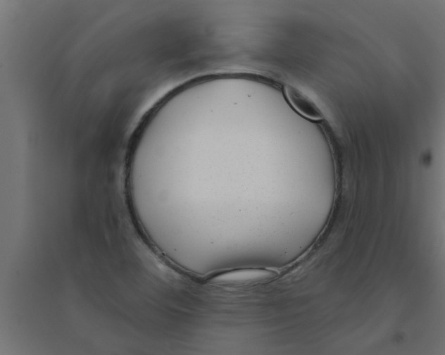X0000094231460200711241734