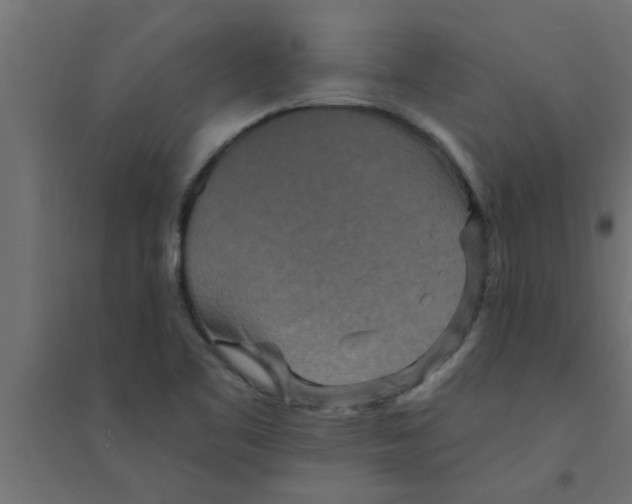 X0000094231461200711241734