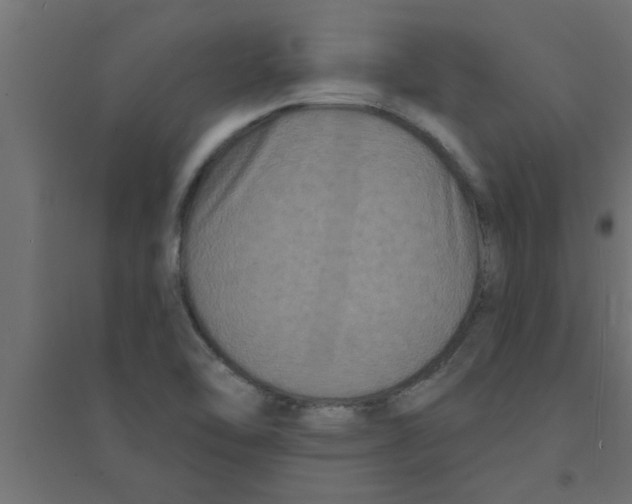 X0000094231462200711241734