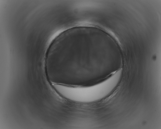 X0000094231463200711241734
