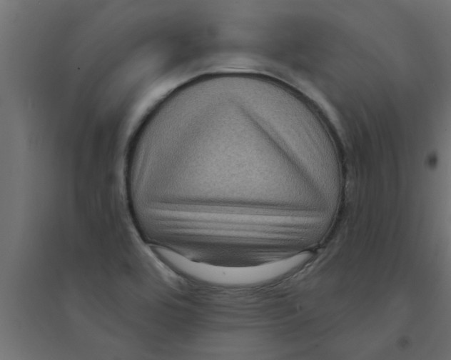 X0000094231464200711241734