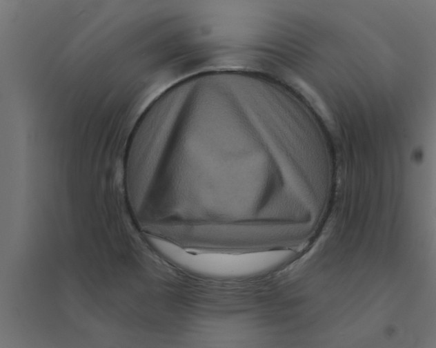 X0000094231465200711241734