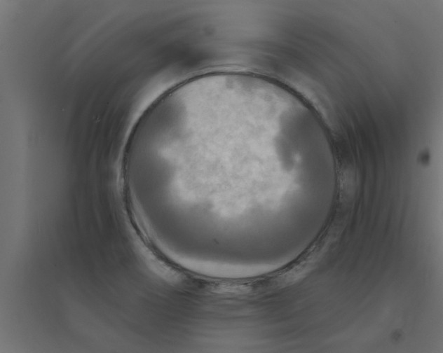 X0000094231466200711241734