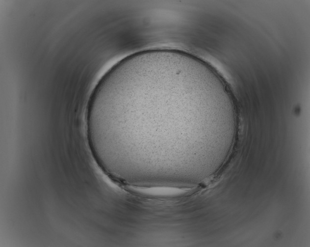 X0000094231468200711241734