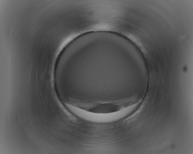 X0000094231469200711241733