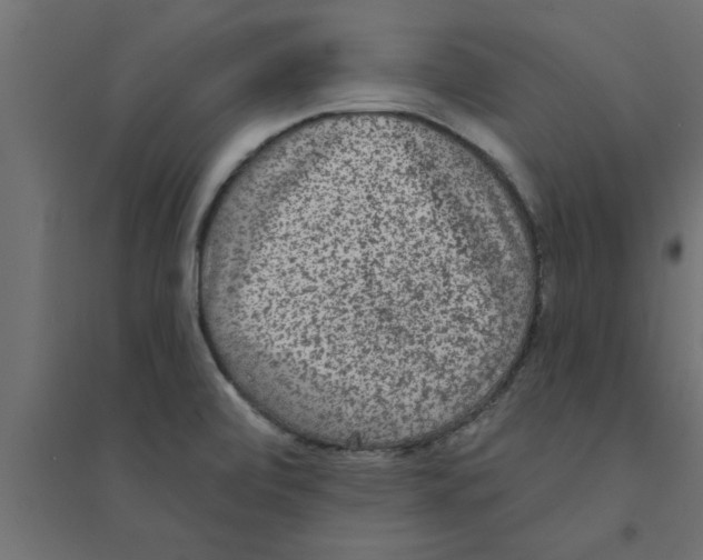 X0000094231472200711241733