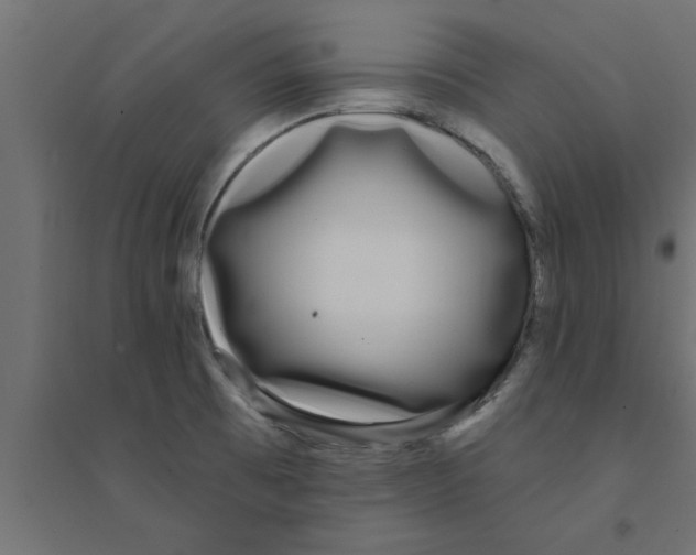X0000094231473200711241733