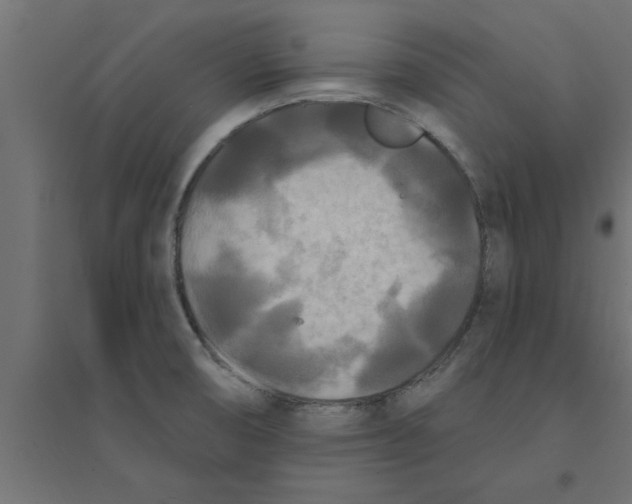 X0000094231474200711241733