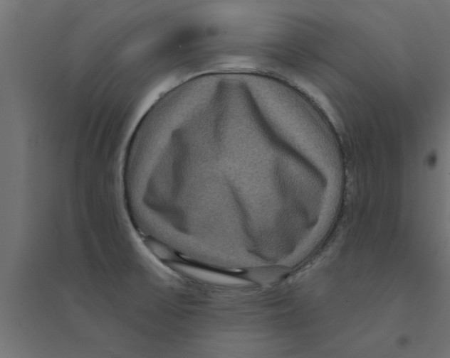 X0000094231475200711241733
