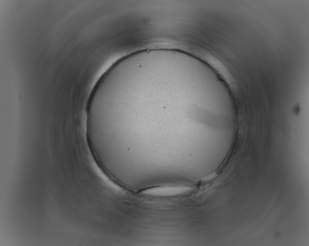 X0000094231476200711241733