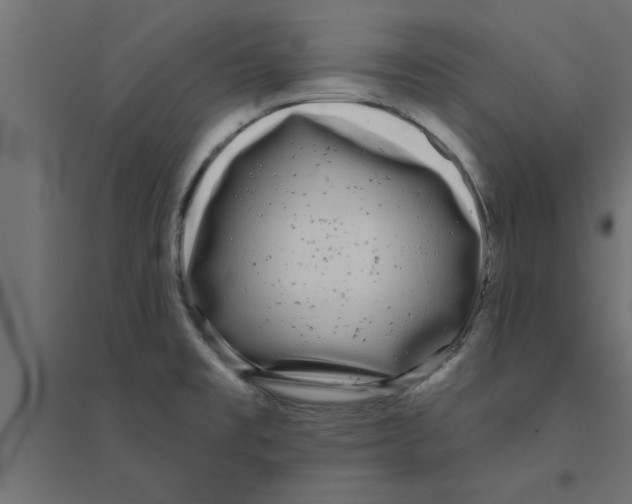 X0000094231477200711241733